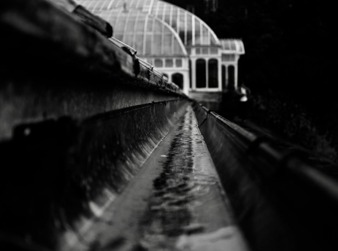 How to Maintain Your Home This Fall with Gutter Covers